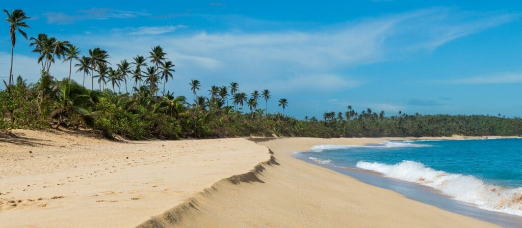 TIA 2025 is in Puerto Rico